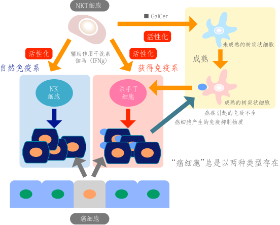 fig1