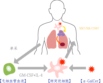 fig1