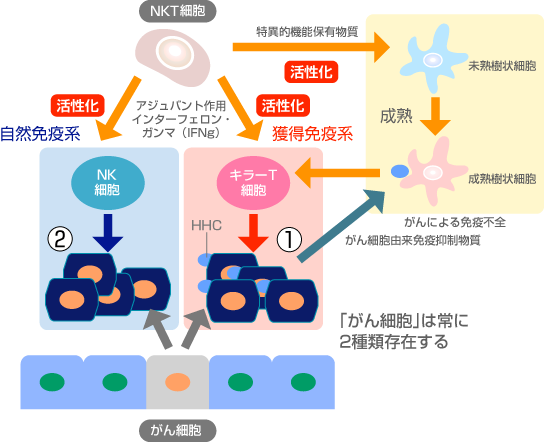 fig1