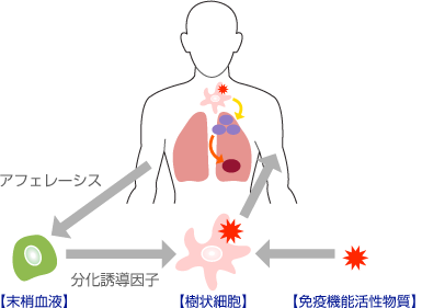 fig1